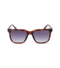 画像をギャラリービューアに読み込む, SPLN34 540878_01