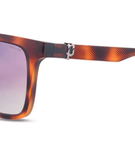 画像をギャラリービューアに読み込む, SPLN34 540878_05