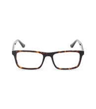 Load image into Gallery viewer, VPLN16 530722_01