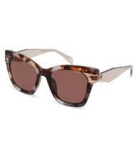 画像をギャラリービューアに読み込む, SPLL98 520AM5_02