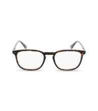 画像をギャラリービューアに読み込む, VPLF81 52722Y_01