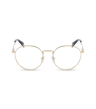 Load image into Gallery viewer, VPLL29 5108FC_01