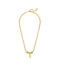 画像をギャラリービューアに読み込む, PEAGN0078302_01
