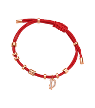 Load image into Gallery viewer, PEJLB0003608_01
