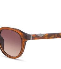 画像をギャラリービューアに読み込む, SPLL82 500893_05
