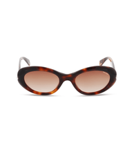 画像をギャラリービューアに読み込む, SPLR93 520752_01
