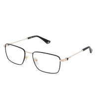 Load image into Gallery viewer, VPLL69 540302_02

